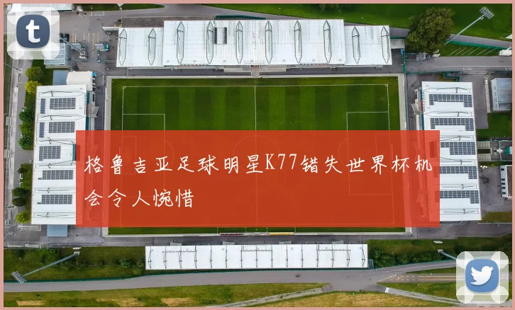 格鲁吉亚足球明星K77错失世界杯机会令人惋惜